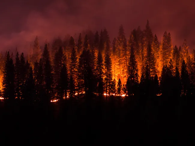 wildfire crisis